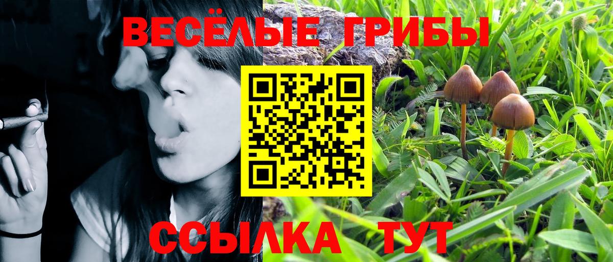 Черняховск  Псилоцибиновые грибы мухоморы  Вход с VPN 