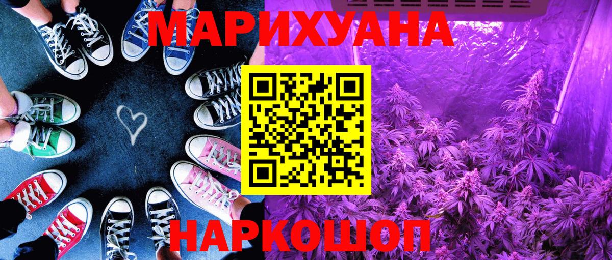 Бошки Шишки план Черняховск